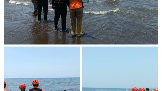 Hiu Paus Tutul Terdampar di Pantai Seririt, Warga dan BPBD Bergerak Cepat