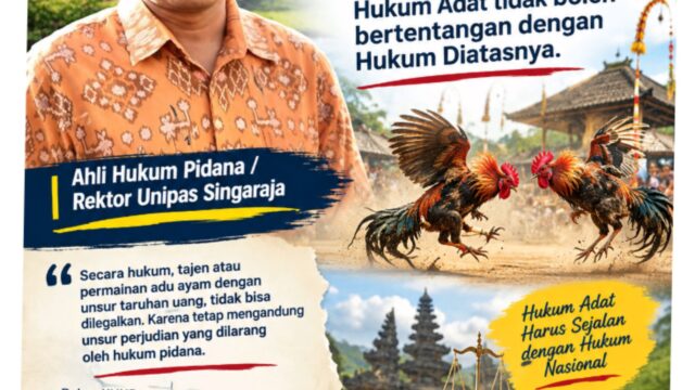 TAJEN DI BALI MAU DILEGALKAN? INI PERSOALAN HUKUMNYA